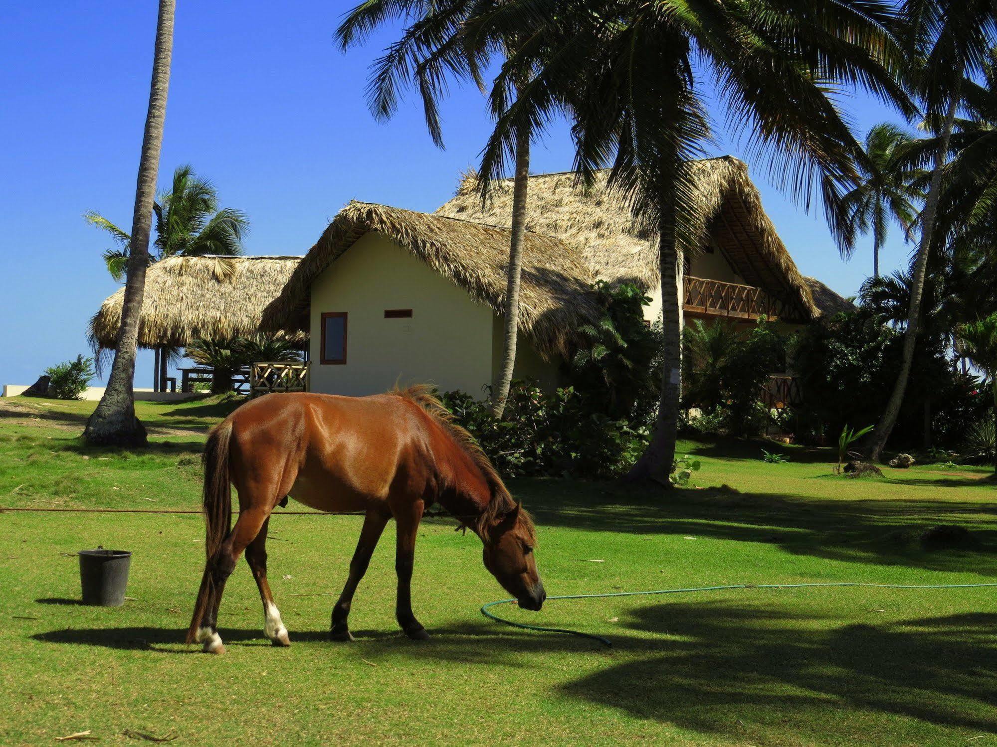 Villa Punta Coral El Francés Екстериор снимка
